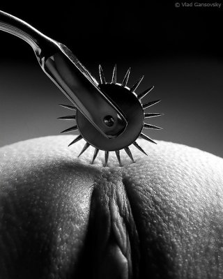Gefunden: Bdsm 3 #4345227