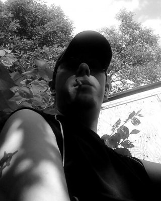 Mein Dummer Esel #20133775