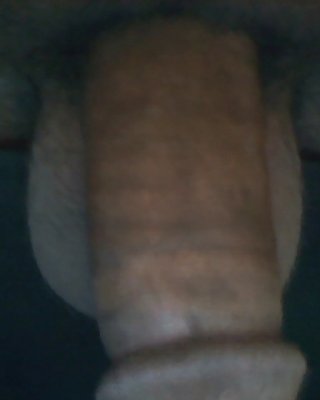 Mehr Meinen Schwanz #2912581