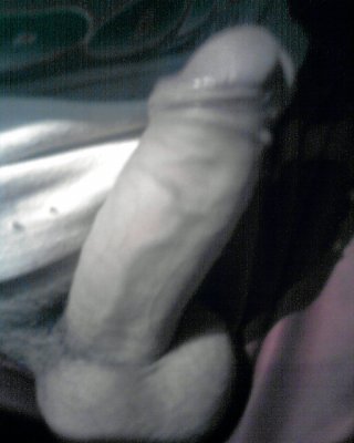 Mein Penis #7914164