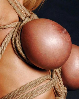 Tied Up Tits