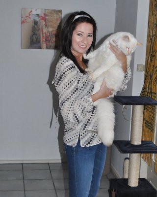Reifen Mit Harten Niples #12349836