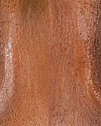 Vagina & Muschi #4310447
