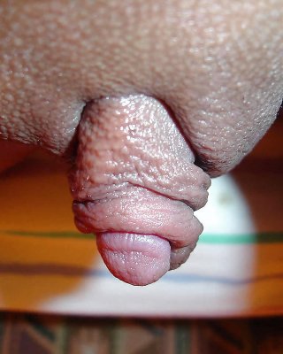 Große Clits #5860057
