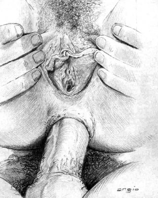 Dessins - Anal