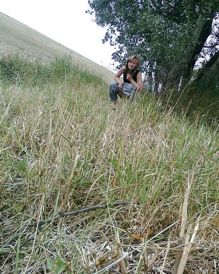 Sommer- #15025099