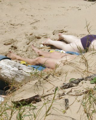 Strand Von France 2 #16023405