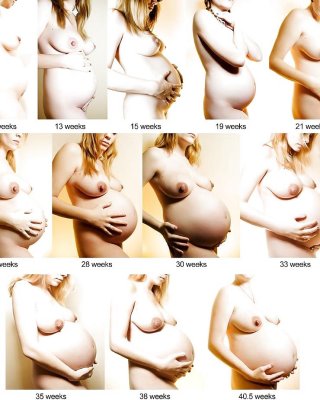 Before and After - Pregnant Porn Pictures, XXX Photos, Sex Images #942341 -  PICTOA