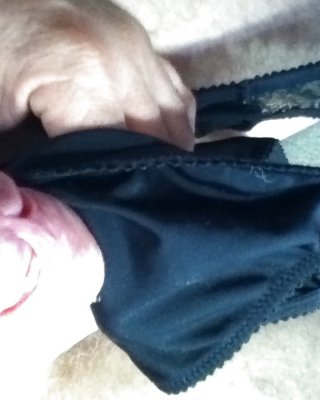 Shaved cock panty playtime #7413255
