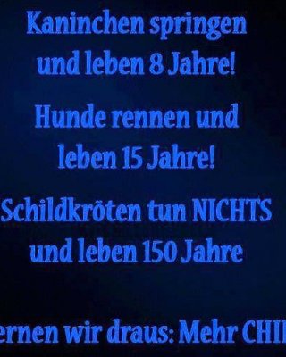 Keine Pornos - Just 4 Fun (deutsch Englisch) # 4 #17710641