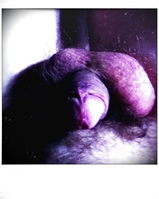 フォー
 #15313231