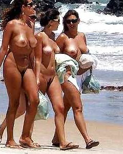 Strand Hasen #17912905