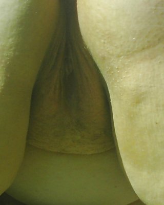 Bbw Frau #19874905