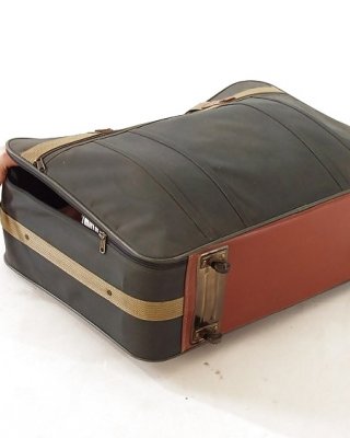 Girl in the Suitcase #44536