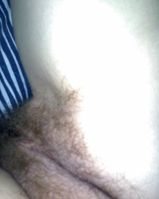 Haarige Muschi Drei #22469564