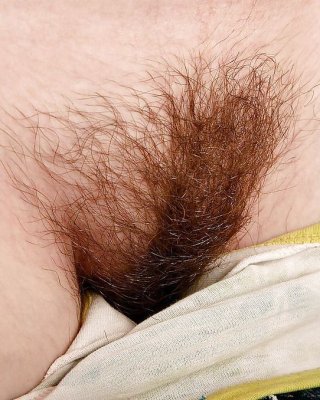 Muschi Behaarte #10019429