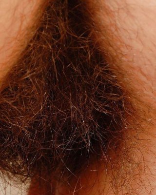 Muschi Behaarte #10019433
