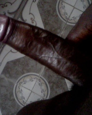 My cock #6488330
