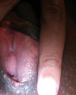 Meine Muschi #12244572