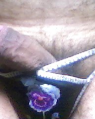 String Farbe 26 #281987