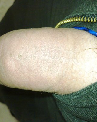 Meinen Schwanz #20842817