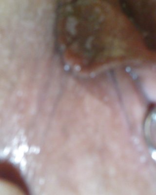 Another Wet Pierced Pussy