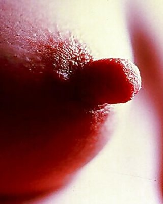 Nippel 2 #11472099