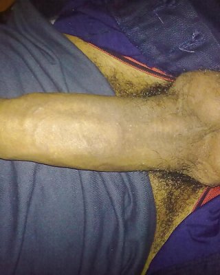 Mein Schwanz #12548502