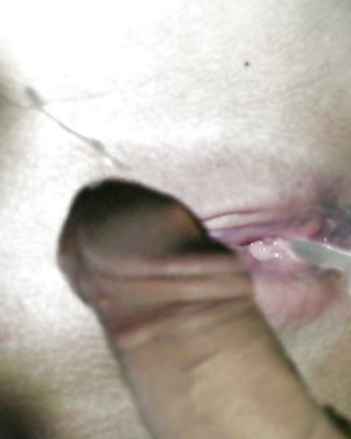 Sex Muschi TRIBUT Schön #22255303
