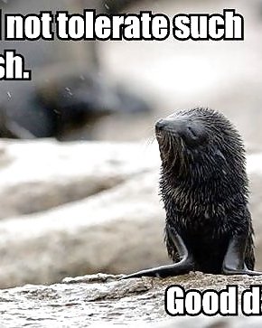 Dünne Gsi Foun Don Thein Ternett Hut Areinte Ruht Vol. 6 #4536215