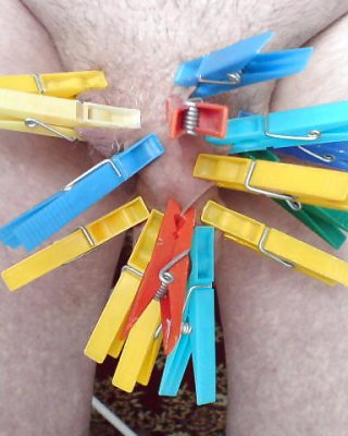 Experiment Auf Den Schwanz #954632