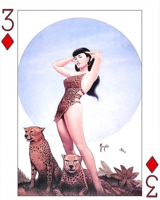 Erotic Playing Cards 6 - Betty Page For 