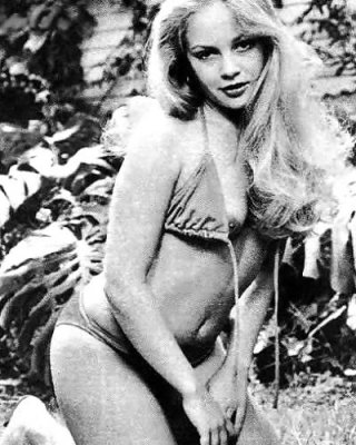 Cnerlene Tilton #10431095
