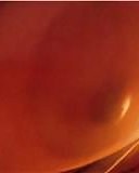 Freunde Tit Bilder #1195641