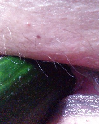 Neue Bilder #22794528