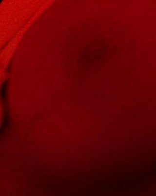 ホームビデオからのキャプチャー
 #21316261