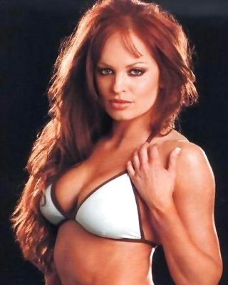 Christy Hemme - TNA Knockout, WWE Diva Mega Collection