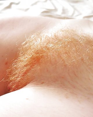 Yummy ginger minges 2
 #22407885