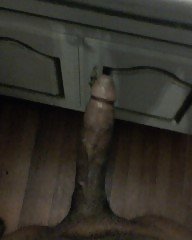 2011 #5505447