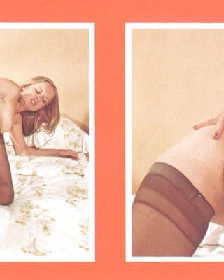 Ron Jeremy Legte Seinen Schwanz In Löcher Kristall Dawns #11662384