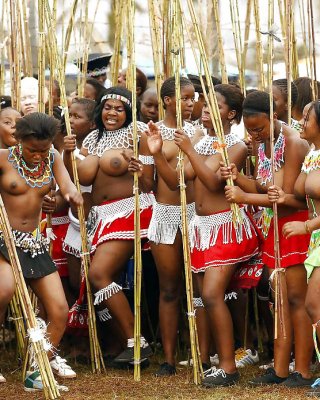 320px x 400px - Yearly reed-dance in Swaziland Porn Pictures, XXX Photos, Sex Images  #483599 - PICTOA