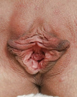 Nice Pussylips