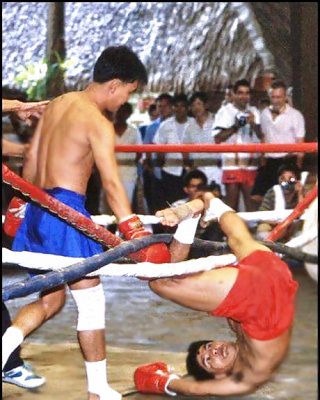 Sport #242670