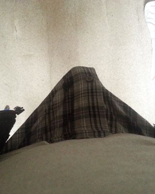 Meinen Schwanz #16603722