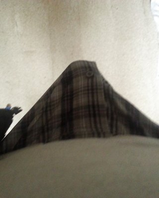 Meinen Schwanz #16603729