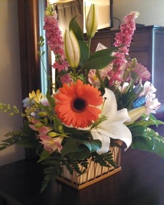 Flores de la querida amiga jp, merci.
 #22536681