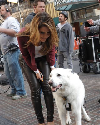 Maria Menounos - Süße Griechische Badonkadonk In Leder #18532137