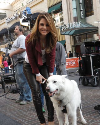 Maria Menounos - Süße Griechische Badonkadonk In Leder #18532144