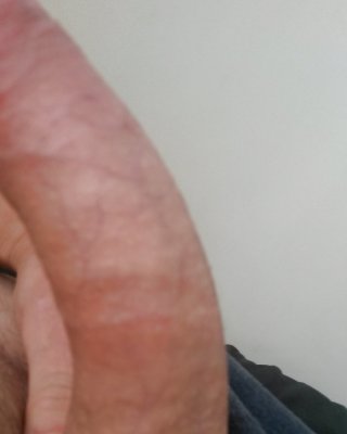 Meinen Schwanz #786884