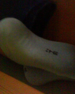 Puma Keine Shows #14382980